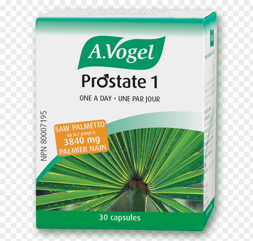 Tablet Benign Prostatic Hyperplasia Capsule Saw Palmetto Prostate Dietary Supplement PNG