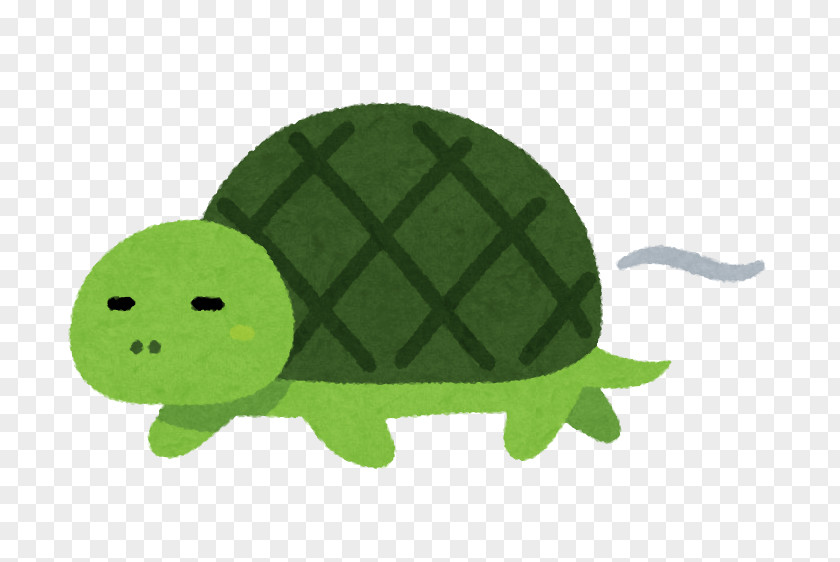 Turtle The Tortoise And Hare Reptile Foot PNG
