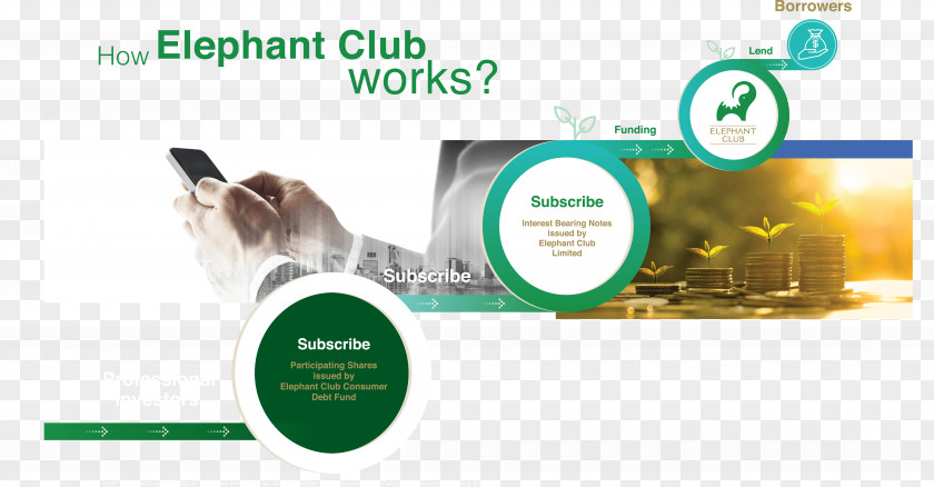 WEDDING ELEPHANT Loan Peer-to-peer Lending Elephant Club Limited – A Smart Online Money Lender In HK Elephantidae Investment PNG