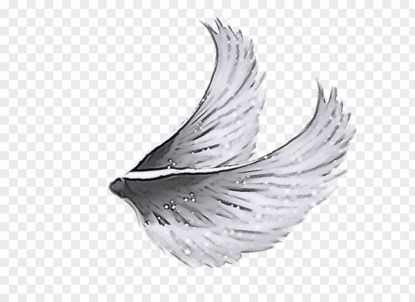 Bird Fashion Accessory Feather PNG