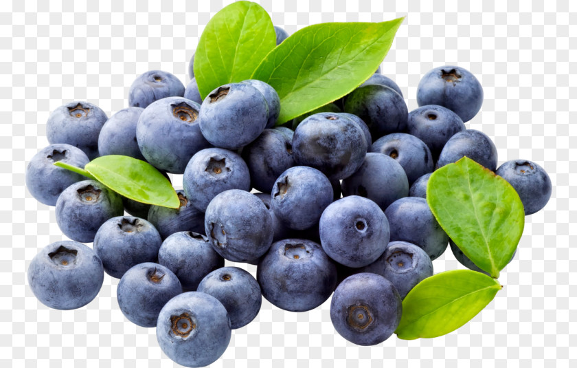 Blueberry Food Fruit Clip Art PNG