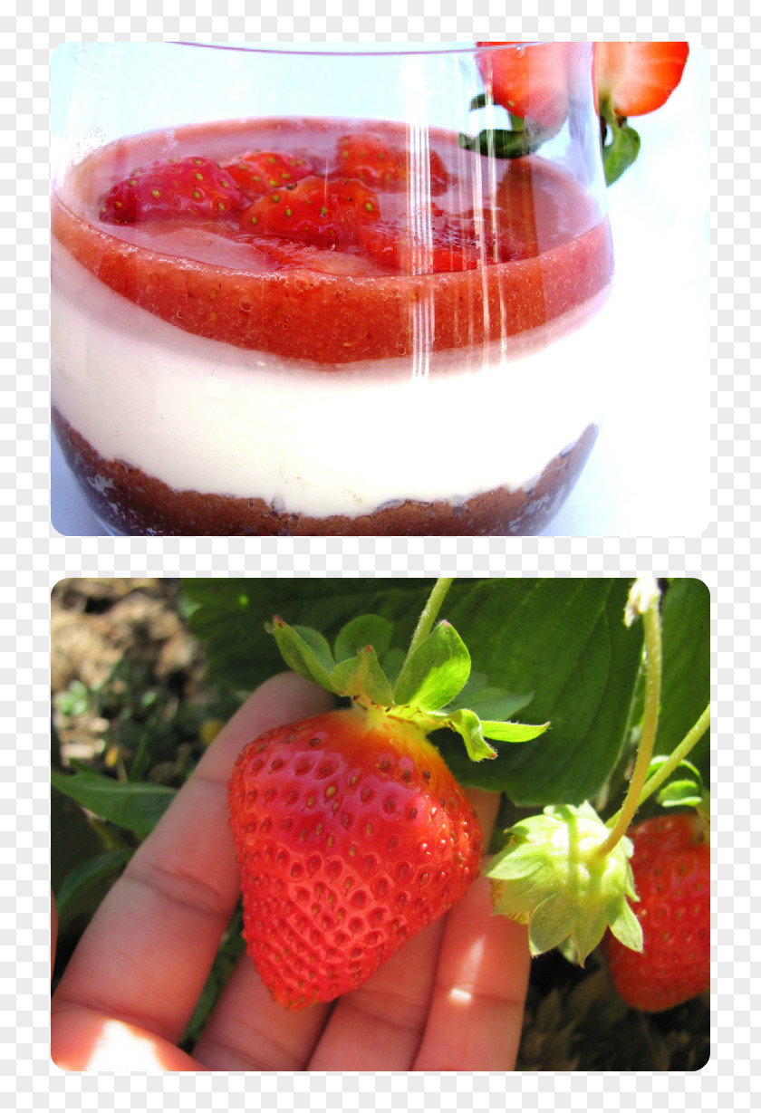 Cheese Cake Cheesecake Panna Cotta Strawberry Sugar Confectionery PNG