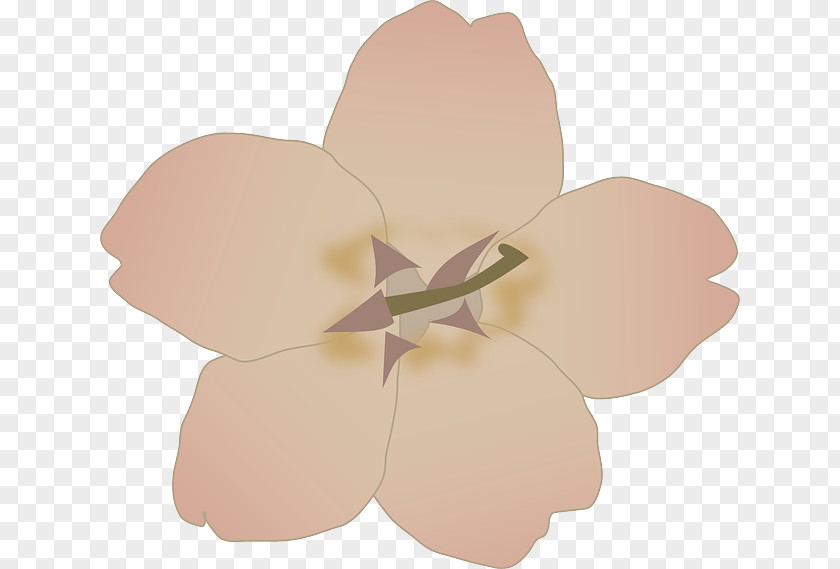 Cherry Blossom Clip Art PNG