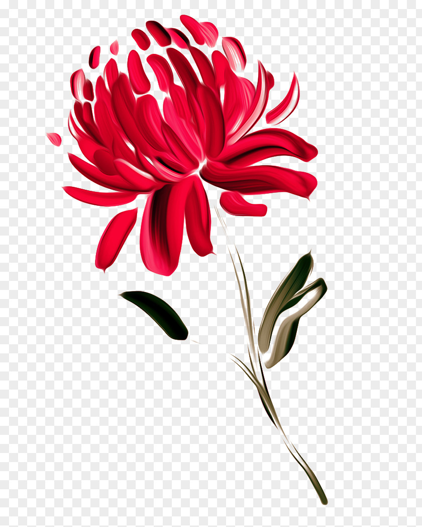 FIG Painted Red Chrysanthemums Australia Flower Painting Waratah Chrysanthemum PNG