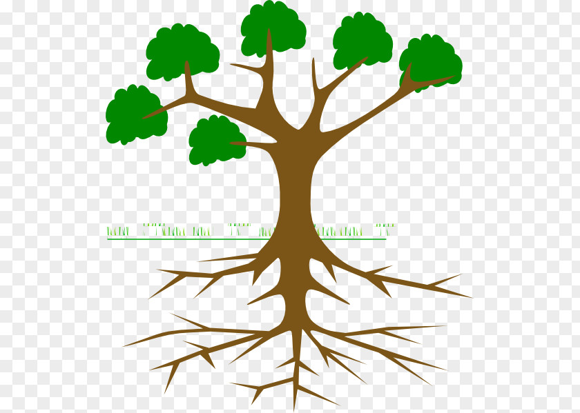 Tree Clip Art Trees And Leaves Image Branch PNG
