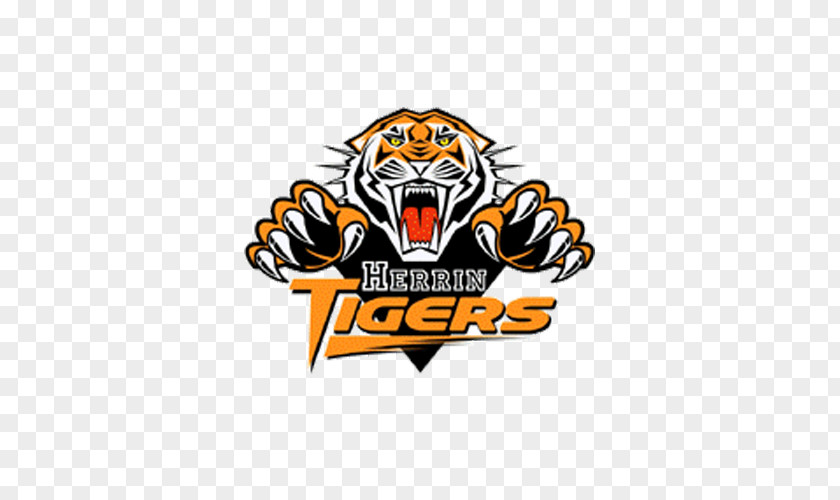 Wests Tigers Foundation National Rugby League Balmain PNG