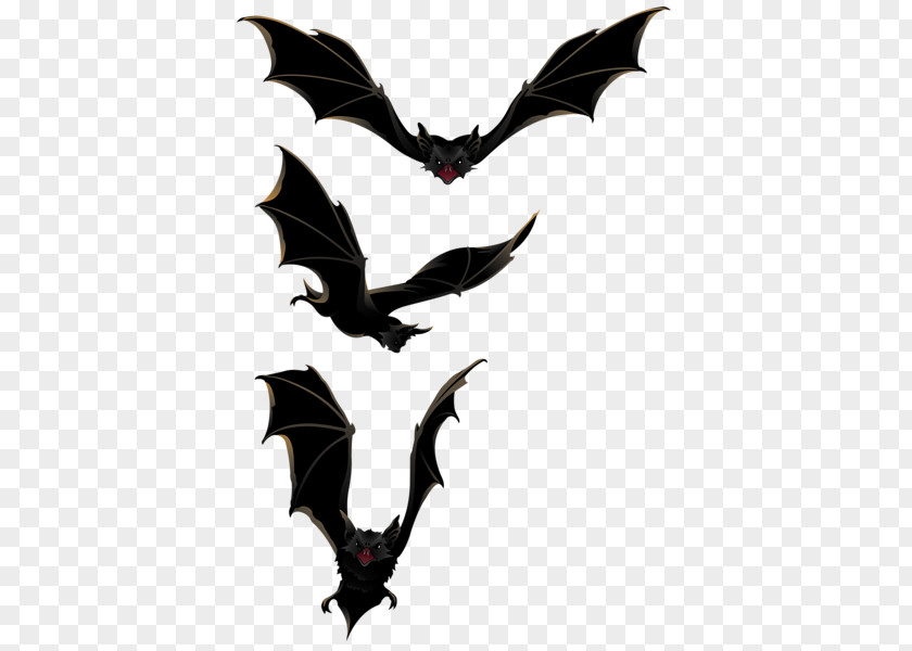 Halloween Bats Fly Bat Clip Art PNG