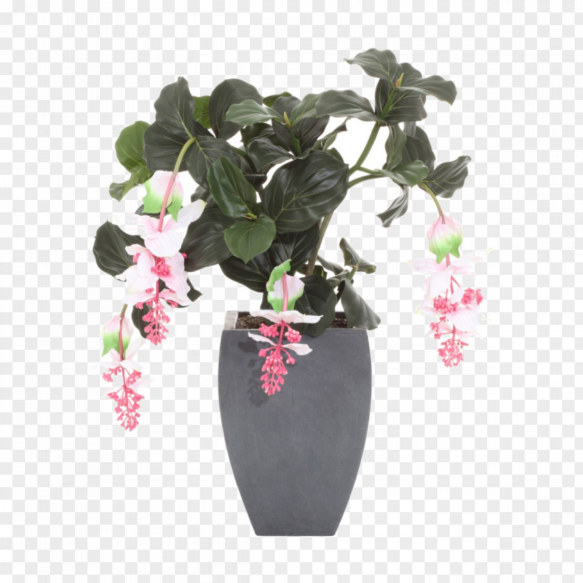 Medinilla Grossissement Cut Flowers Vase Floral Design Artificial Flower PNG