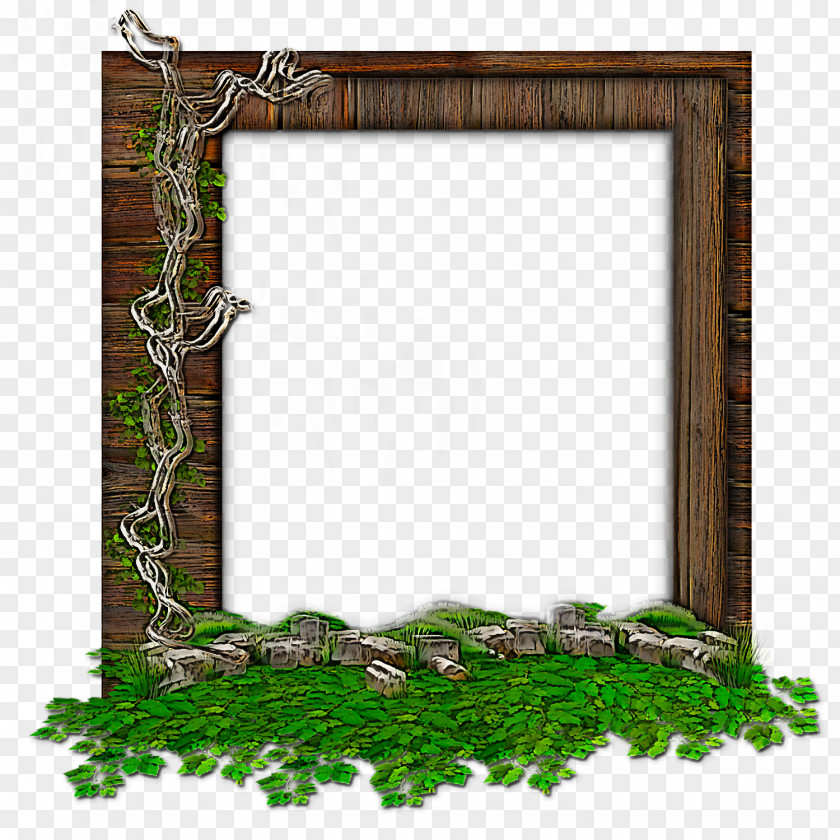 Picture Frame PNG