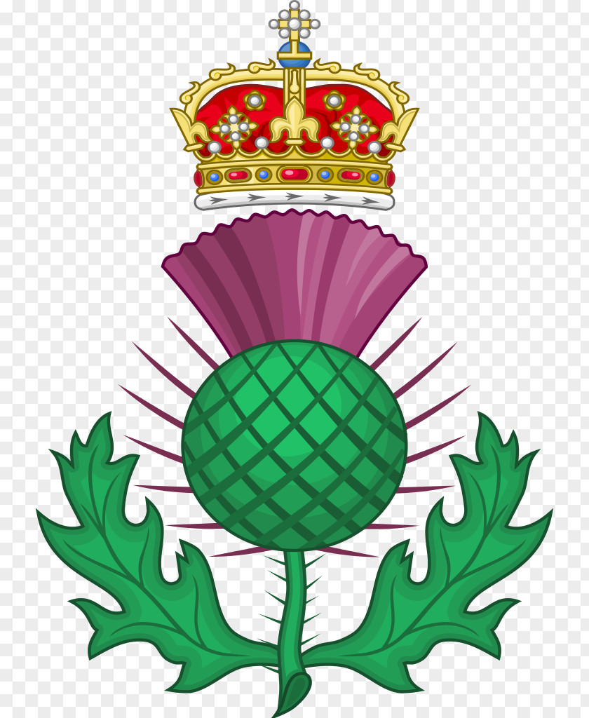 Royal National Symbols Of Scotland Thistle PNG