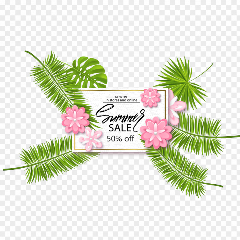 Coconut Leaves Vector Free To Pull Leaf Euclidean PNG