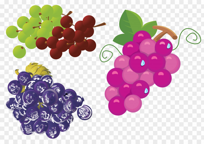 Grapes Grape Wine Drink Watermelon PNG
