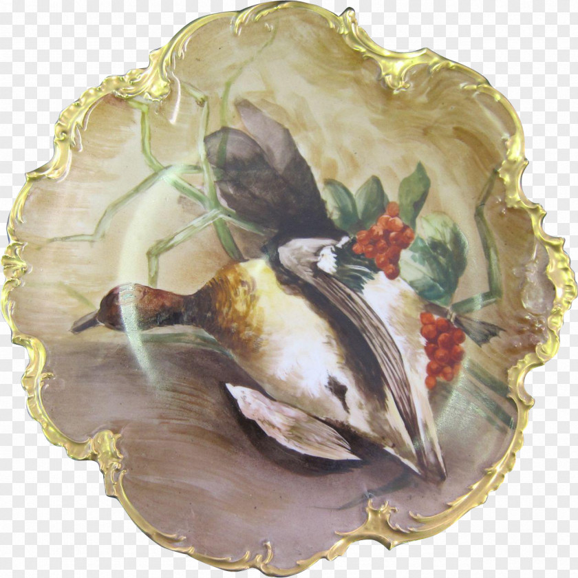 Hand Painted Duck Oyster Clam PNG