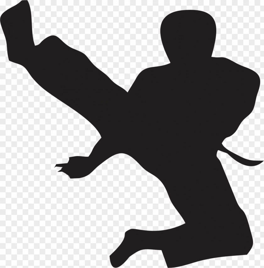 Karate Flying Kick Taekwondo Martial Arts PNG