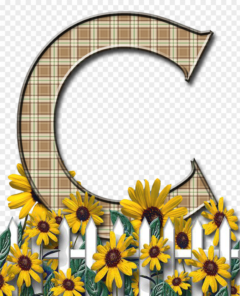 Letter C Case Alphabet Flower PNG