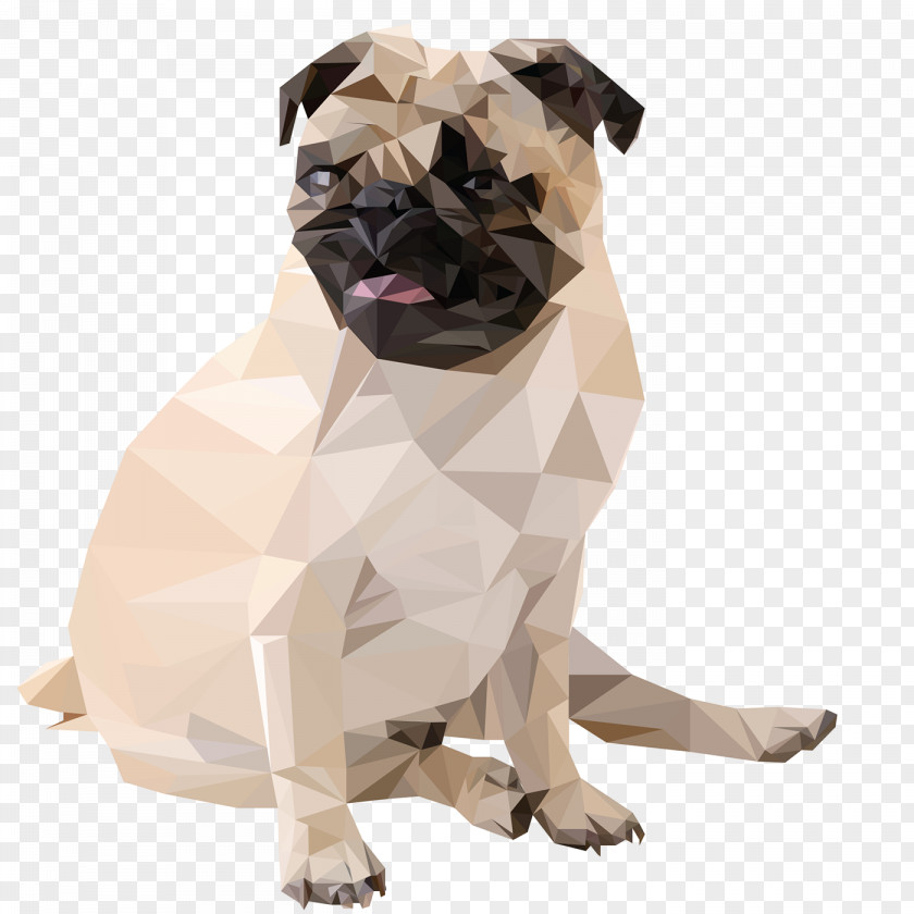 Pugs Pug Puppy Dog Breed Fawn Companion PNG