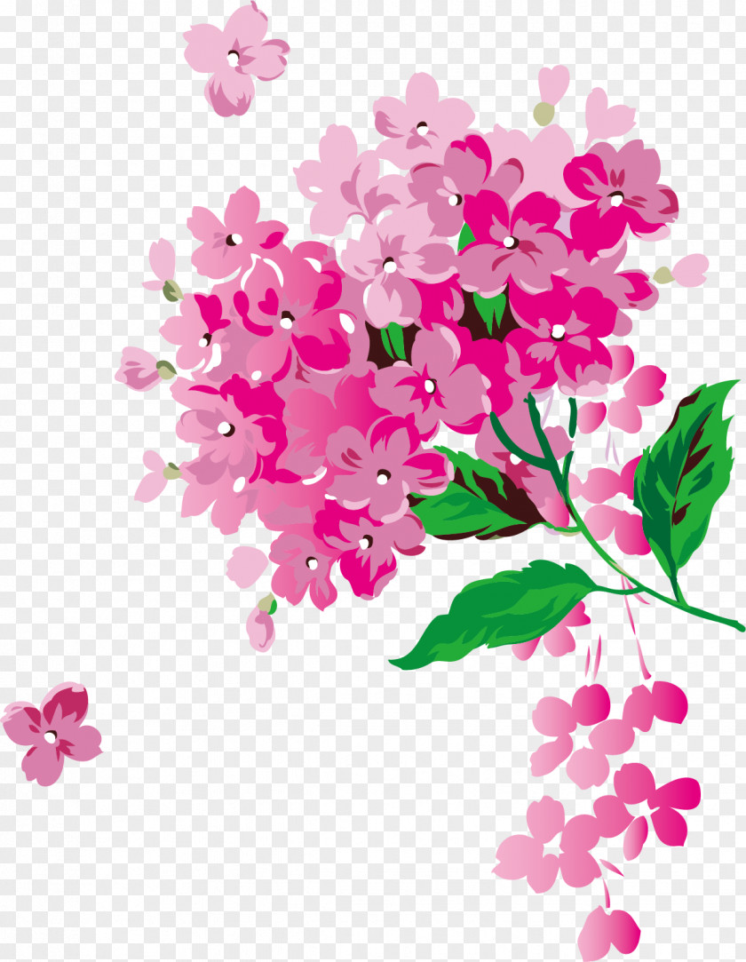 Hand Painted Cherry Pattern Flower Download Petal PNG