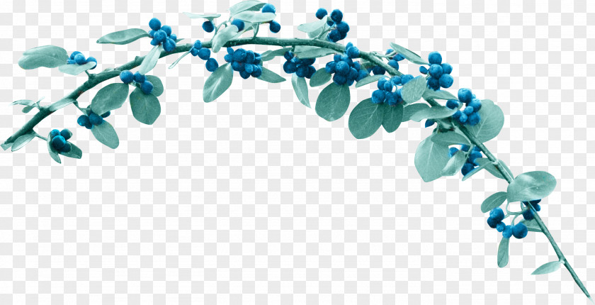 Heavens Flower Berry Blue Clip Art PNG