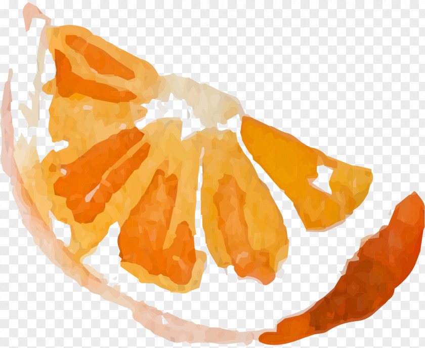 Microsoft Of Oranges Mandarin Orange Watercolor Painting Fruit Image Illustration PNG