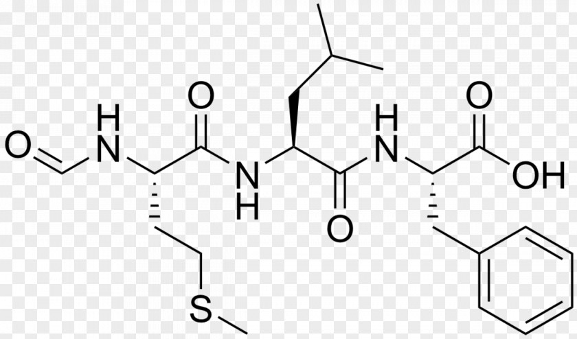 Phenylalanine Chemical Substance Tripeptide Amino Acid Chemistry PNG
