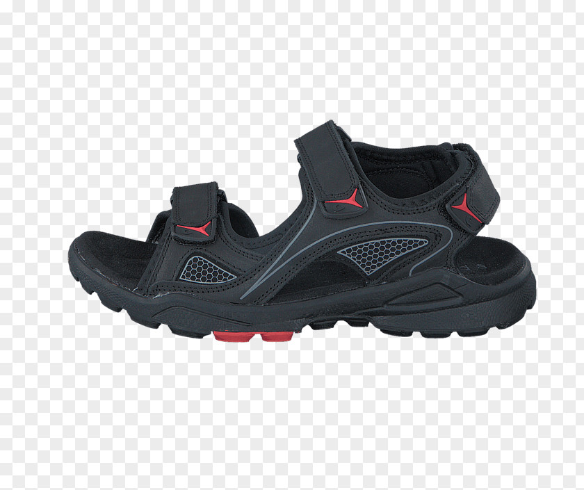 Sandal Shoe ECCO Sneakers Kinderschuh PNG