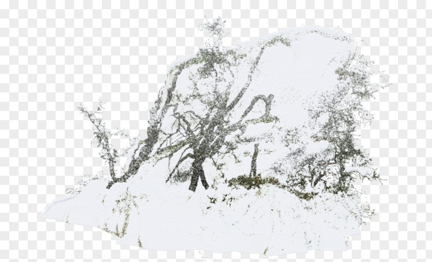 Snow Twig Tree Clip Art PNG
