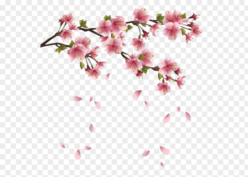Spring Flowers Branches PNG Branches, photo of pink petaled flowers with green leafed plant clipart PNG