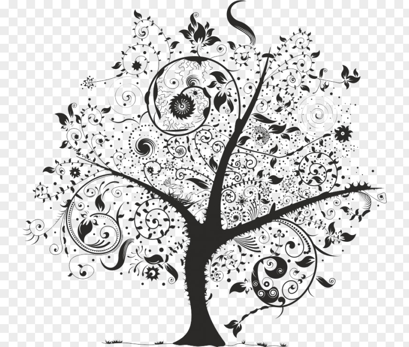 Tree Chaos Theory Drawing Weeping Willow PNG