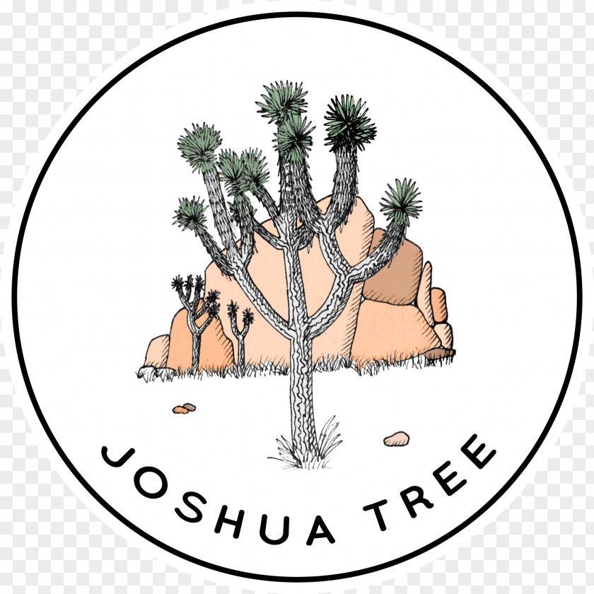 Tree Joshua National Park Drawing Line Art PNG