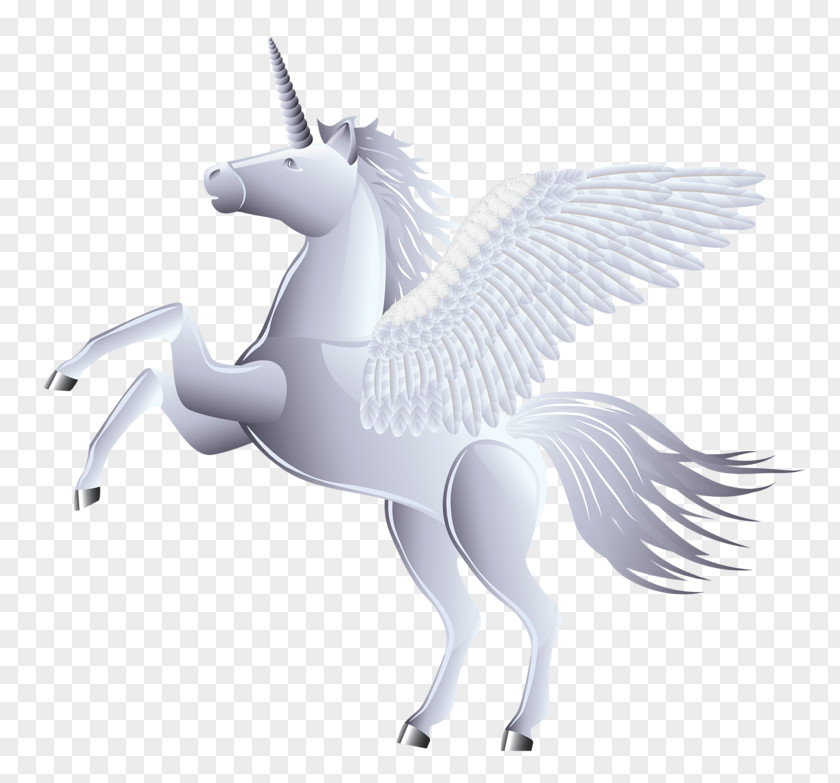 White Unicorn Horse PNG