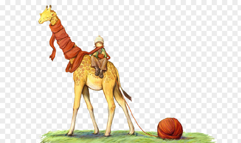 Boy Riding A Giraffe Cartoon Illustration PNG