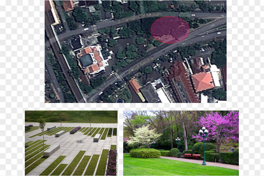 City Stadium Urban Design Roof PNG