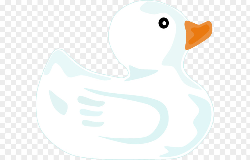 Duck Cygnini Goose Beak Bird PNG
