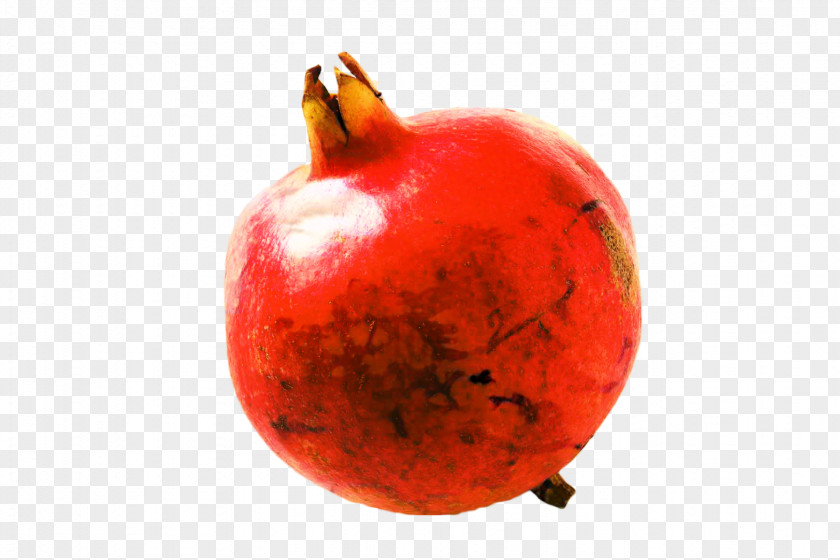 Food Spoilage Tree Apple PNG
