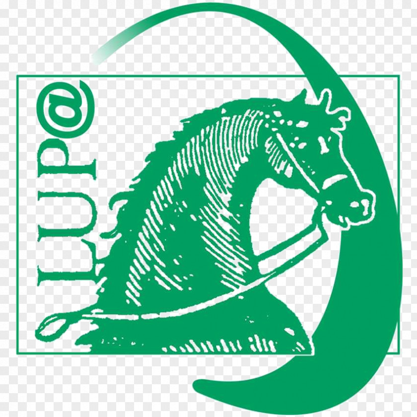 Horse Lupa Ibérica, S.A. Madrid Equestrian Clip Art PNG