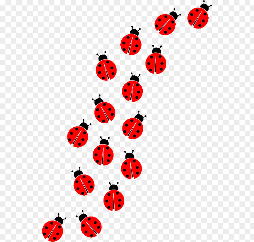 Ladybug Ladybird Clip Art PNG