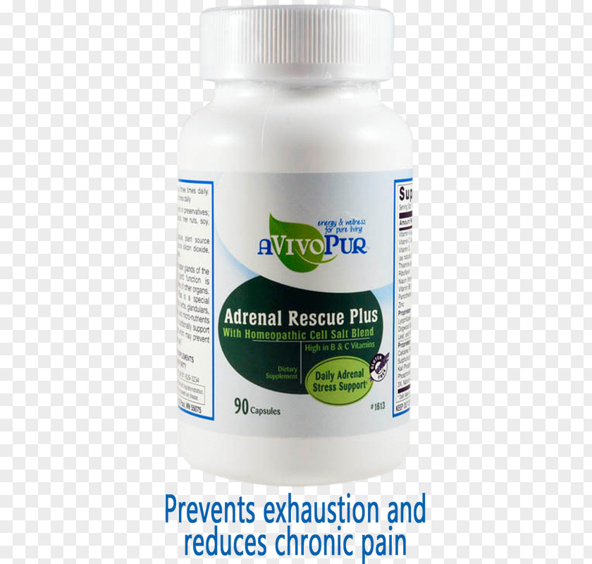 Adrenal Gland Dietary Supplement Weight Loss Detoxification PNG