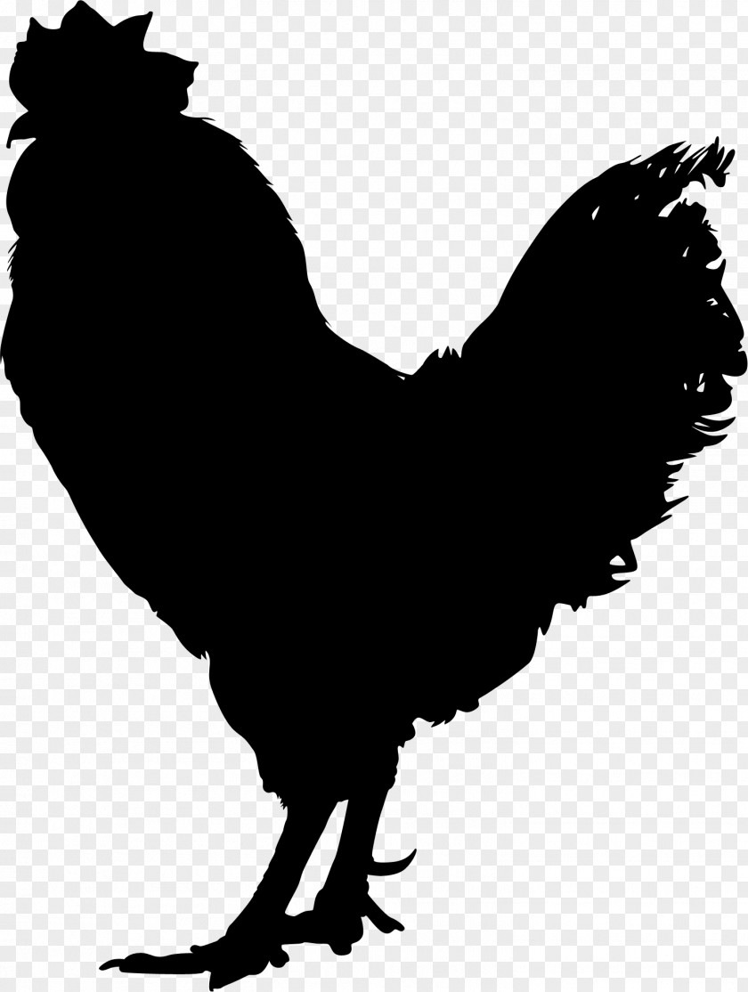 Chicken Vector Graphics Rooster Illustration Royalty-free PNG