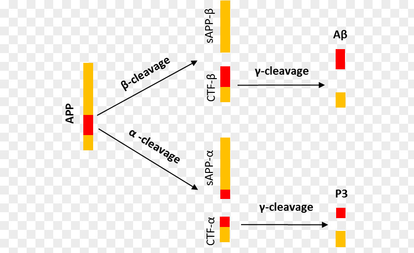 Line Product Design Brand Angle PNG