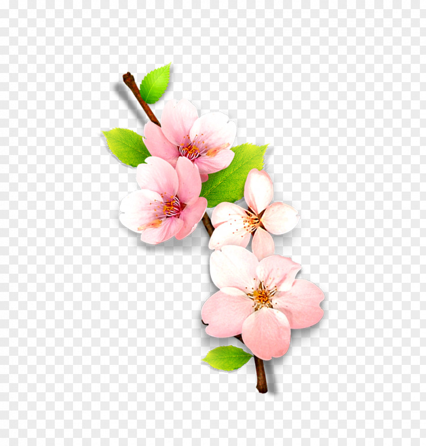 Plum Flower Computer File PNG