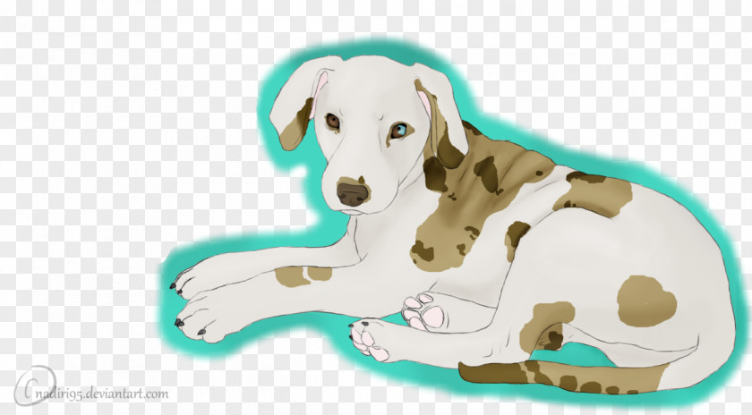 Puppy Dog Breed Snout PNG