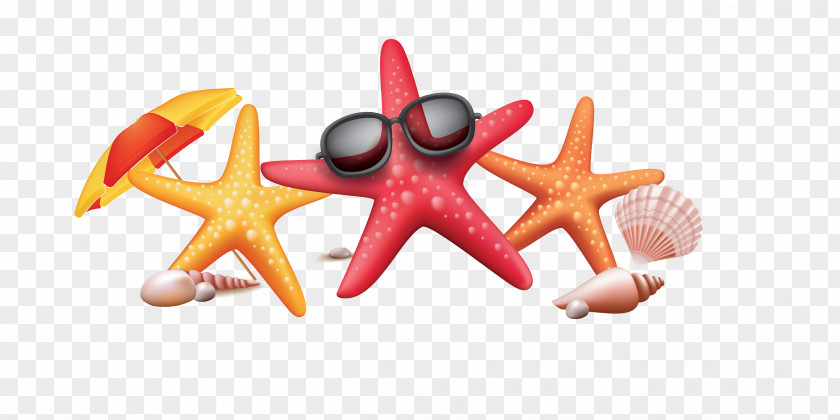 Vector Color Seaside Starfish Sunglasses Creative Summer Poster PNG