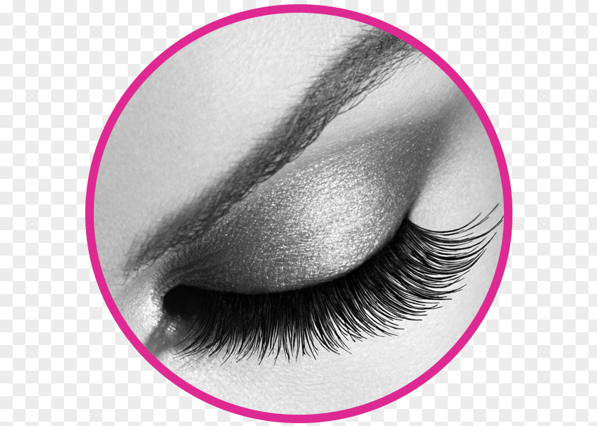 Bottom Lash Extensions Eyelash Beauty Parlour Cosmetology Cosmetics PNG