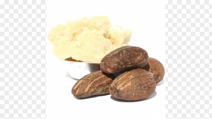Butter Shea Vitellaria Nut Butters PNG