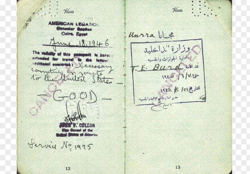 Diplomatic Passport Document Line PNG