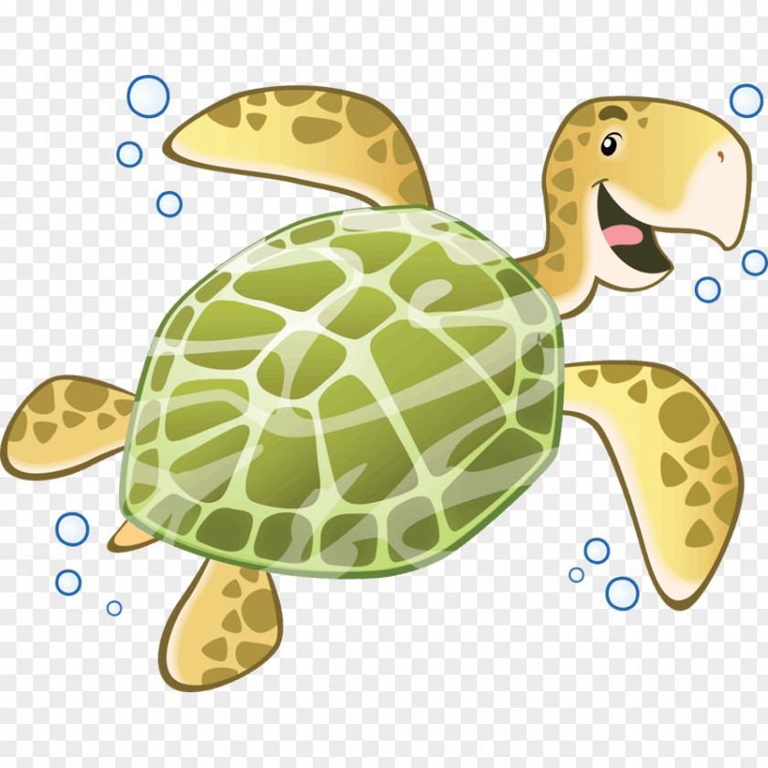 Enfant Sea Turtle Reptile Tortoise Sticker PNG