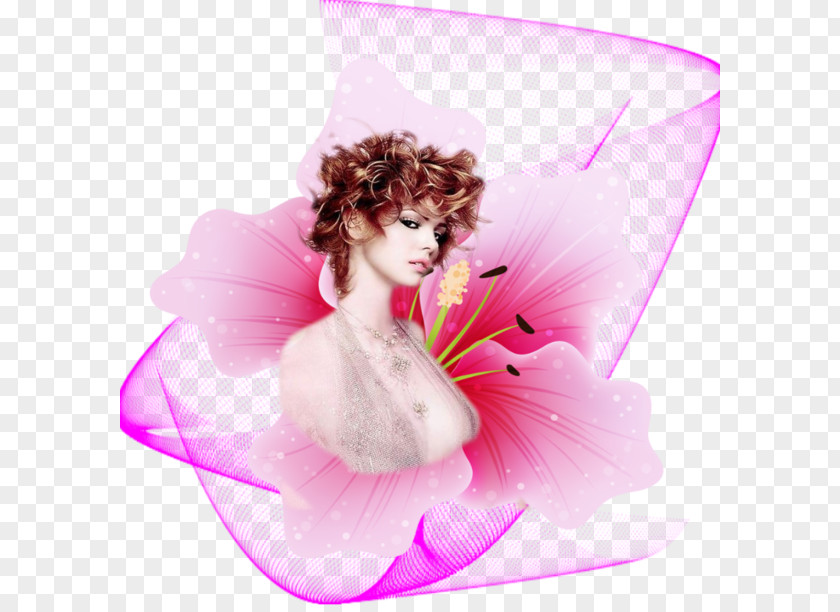 Fairy Pink M Wella Hair Color PNG