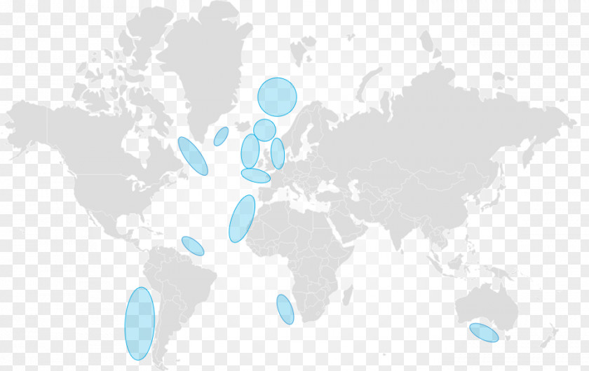 Fish Group World Map Globe Poster PNG