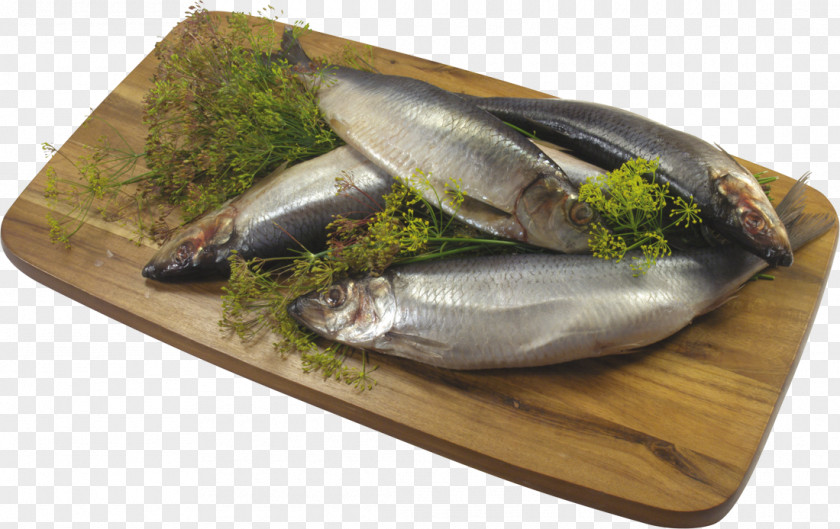 Fish Sardine Kipper Products Food PNG