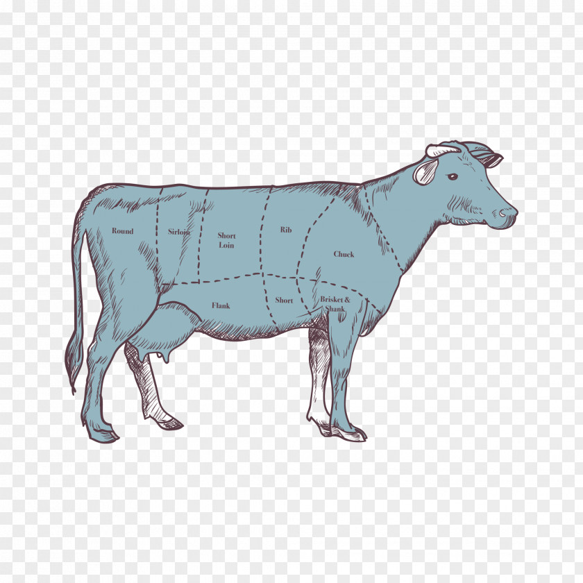 Sheep Beef Cattle Beefsteak Dairy PNG